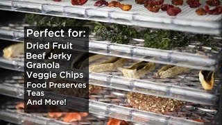 Chefman 9 Tray Food Dehydrator Food Preserver, Meat or Beef Jerky Maker, Fruit \u0026 Vegetable Dryer