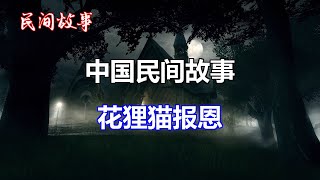 花狸猫报恩   |中国奇闻轶事|睡前恐怖故事