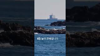 길이가 3백50 6층 높이의 큰배~~