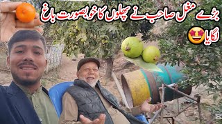 Big Mughal planted a beautiful fruit garden|Village life in Mirpur Azad Kashmir😎