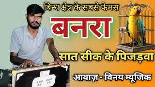 बनरा गीत। बहुत सुन्दर गीत। सात सिंक के पिजारबा। bagheli lokgeet banara geet बघेली लोकगीत