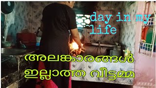 നാട്ടിൻപുറത്തെ വീട്ടമ്മയുടെ യഥാർത്ഥ ജീവിതം|Village Lifestyle|Malayalam vlog|