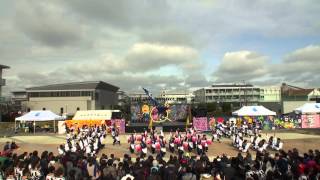 2014 12 7 岐聖祭　よさこいソーランチーム凰