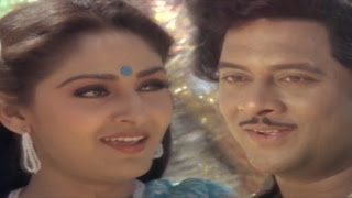 Puli Bebbuli Movie || Parimalinchu Video Song || Krishnam Raju,Chiranjeevi,Jayapradha,Radhika
