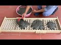 Egg Tray And Cement - Instructions How To Make Crack-Resistant Cement Flower Pots