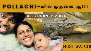 Yethir pakave ila!! pollachi யில் முதலை ஆ!!!Scary!😳😳 #vlog #pollachi #crocodile #tour #yt #viral