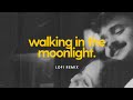 Walking in the Moonlight Lofi Remix | Hariharan | Malayalam Lofi