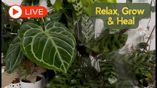 🔴 LIVE 🌿 Powerful Music for Plant Growth, Relaxation \u0026 Positive Energy!