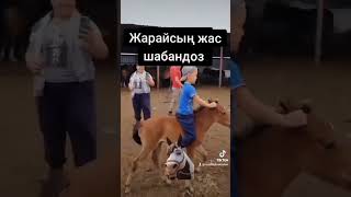 Жас шабандоз жарайсың #shorts #tiktok #youtubeshorts