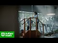Nuffield Health - How you feel tomorrow starts today Advert