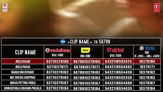 Rangasthalam movie-Jigelu rani CBRT codes.