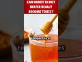 can honey in hot water really become toxic