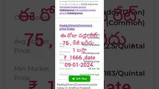 ఈ రోజు వడ్లు రేట్,   75 , కేజీ ఖరీదు ,      1 బస్తా                   ₹  1666 ,date 09-01-2024.