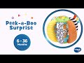 Peek-a-Boo Surprise | Demo Video | VTech