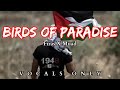 Birds of Paradise - Vocals Only | Firas x Muad