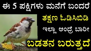 ಈ 5 ಪಕ್ಷಿಗಳು ಮನೆಗೆ ಬಂದರೆ ತಕ್ಷಣ ಓಡಿಸಿಬಿಡಿ, ಇಲ್ಲಾ ಅಂದ್ರೆ ಬಾರೀ ಬಡತನ ಬರುತ್ತದೆ Birds Vastu Shastra tips