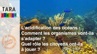 Acidification des océans : comment les organismes vont-ils s'adapter ?