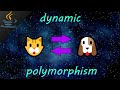 Java dynamic polymorphism ✨