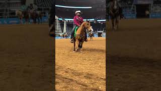 Houston rodeo view from the Action Seats for pre rodeo warm up