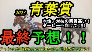 【最終予想】2023青葉賞！ダービーへ向けて楽しみな馬が出て欲しい1戦！上位印馬は素質高い！