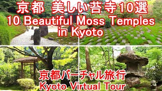 【Kyoto】10 Beautiful Moss Temples in Kyoto with Bach Chaconne