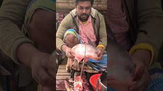 amazing fish cutting #shorts #subscribe #pangas