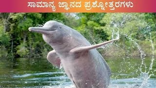 ನಮ್ಮ ರಾಷ್ಟ್ರೀಯ ಜಲಚರ ಪ್ರಾಣಿ ಡಾಲ್ಫಿನ್| ರಾಷ್ಟ್ರೀಯ ಜಲಚರ ಪ್ರಾಣಿ