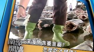 102/11/8 南部開講節目預告：深海魚含重金屬? 台灣鯛濫用抗生素? 食魚安全誰把關? 怎麼吃魚才健康?