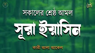 সকালে আমলের জন্য শ্রেষ্ঠ তেলাওয়াত সুরা ইয়াসিন | Surah Yaseen | amol | سوره يس Record by Alaa Aqel