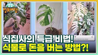 식집사의 특급 비법! 식물로 돈을 버는 방법?! MBN 230309 방송