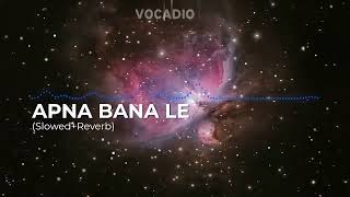 Apna Bana Le (Slowed+Reverb) - Arijit Singh | Bhediya| Varun Dhawan| Kriti Sanon| @vocadio