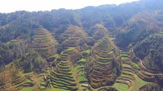 农村此地双龙出山形，两条龙脉环绕龙穴，地形格局完美的风水宝地