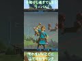 過保護なリーバル【ゼルダの伝説 ブレスオブザワイルド】