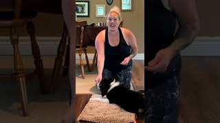 Your Puppy Training "Practice" Formula