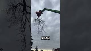 Walnut tree hugging garage #treeremovalservices #arborist