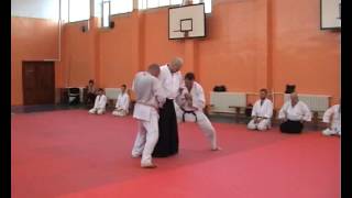 Dorin Marchis Sensei Class-Ki Demonstration 2