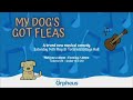 My Dog’s Got Fleas Trailer - The Orpheus Centre