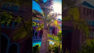 HAPPY SUMMER 🏝️ SUMMER MUSIC | SUMMER MIX | SUMMER MUSIC MIX ON THIS CHANNEL #outmusic, #summer