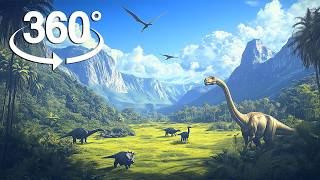 Experience the BIBLE Like Never Before in 360° VR!