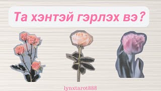 Та хэнтэй гэрлэх вэ?💐🦢| хайр дурлал тарот (НЭМЭЛТТЭЙ)