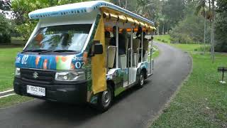 Back to Nature : KEBUN RAYA CIBODAS. Cinematic Video