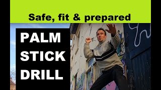 PALM STICK DRILL (kubotan solo drills) - Part 5