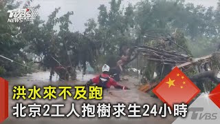 洪水來不及跑 北京2工人抱樹求生24小時｜TVBS新聞 @TVBSNEWS02