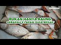 Rahsia Sebalik Sampah, Bawa Pulang Baung, Sebarau & Lapam Saiz Padu! #eps267