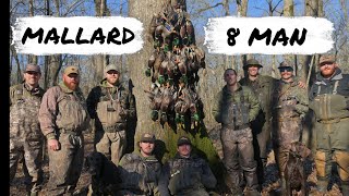 8 MAN MALLARD LIMIT | DUCK HUNTING PUBLIC FLOODED TIMBER