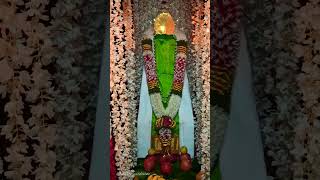 Ambalavanapuram Sriman Narayanswamy Day 9 Karthigai Thiruvila 2021