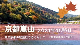 2021年11月7日、京都嵐山の紅葉は？駐車場事情もご紹介