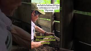 พ่อสร้างบ้านให้ลูกสาวด้วยสองมือ: รักแท้ที่เงินซื้อไม่ได้