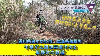 千足ダム周辺林道その2・板野町の林道(香川県東かがわ市、徳島県板野町)