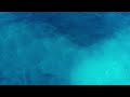 ZanTen, Djy Biza & Mr Jazziq - Bizaza (feat Bontle Rsa)